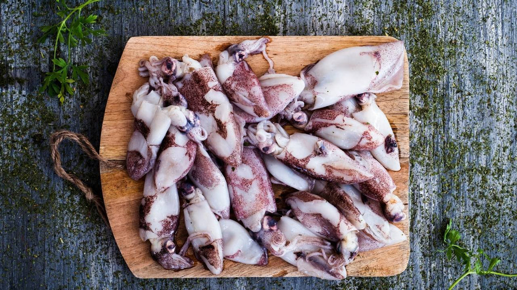 Chipirones: Was sind sie und was sind ihre Eigenschaften?