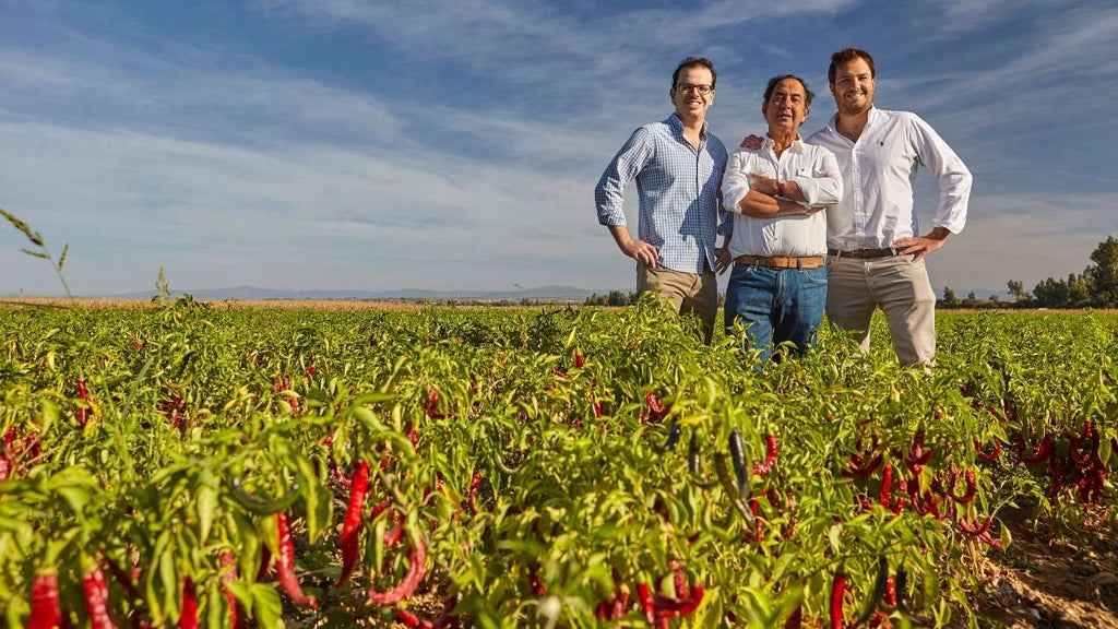 Todo sobre el Pimentón de la Vera, los expertos responden