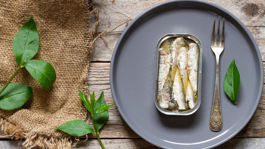 Portuguese Canned Fish Guide