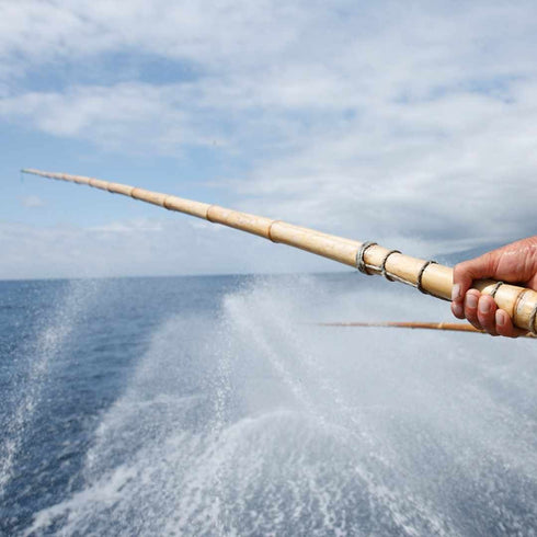 Azorean Tuna with BIO olive oil 120g